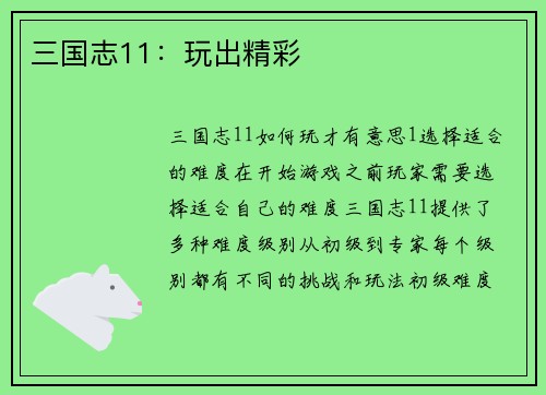 三国志11：玩出精彩